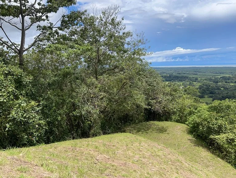 Panoramic 180 Degree Ocean View Lot Ready To Build Close To Ojochal, photo 12