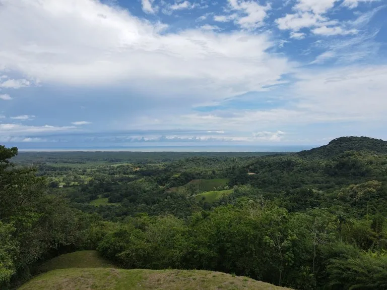 Panoramic 180 Degree Ocean View Lot Ready To Build Close To Ojochal, photo 13