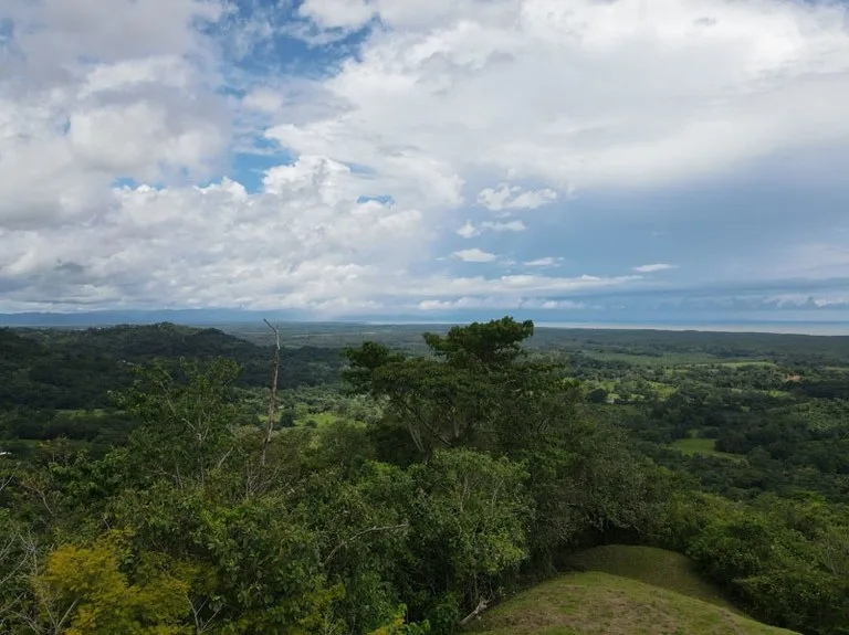 Panoramic 180 Degree Ocean View Lot Ready To Build Close To Ojochal, photo 14