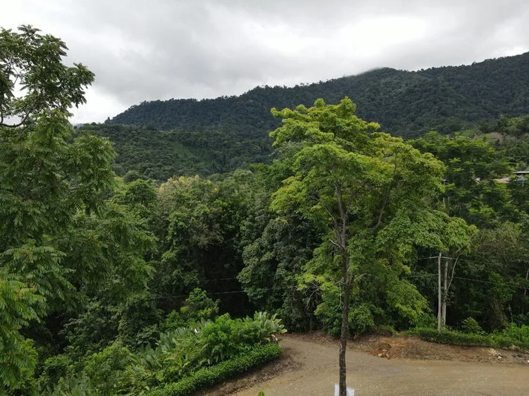 Panoramic 180 Degree Ocean View Lot Ready To Build Close To Ojochal, photo 15
