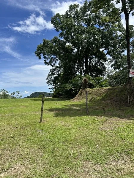 Panoramic 180 Degree Ocean View Lot Ready To Build Close To Ojochal, photo 3