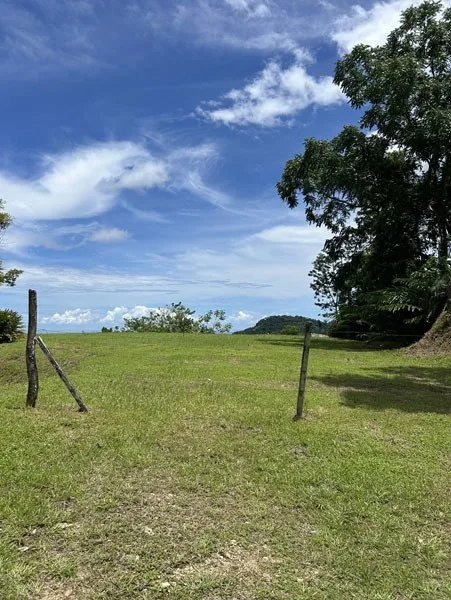 Panoramic 180 Degree Ocean View Lot Ready To Build Close To Ojochal, photo 4