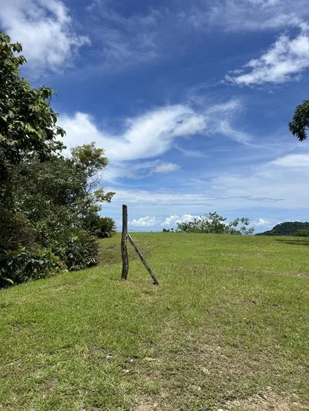 Panoramic 180 Degree Ocean View Lot Ready To Build Close To Ojochal, photo 5