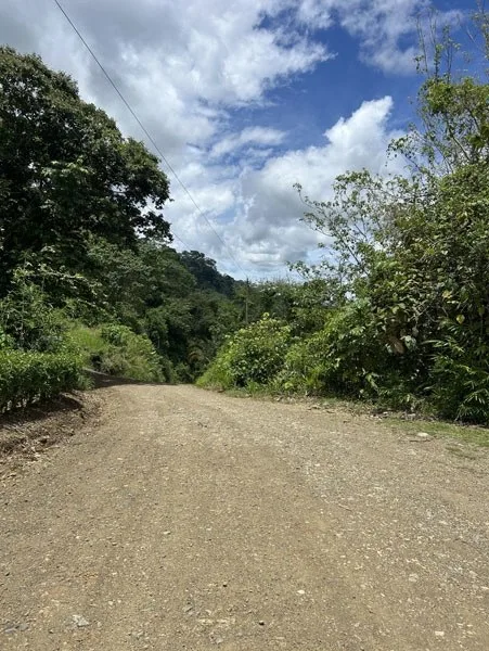Panoramic 180 Degree Ocean View Lot Ready To Build Close To Ojochal, photo 7