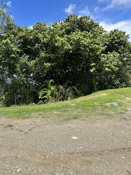 Panoramic 180 Degree Ocean View Lot Ready To Build Close To Ojochal, photo 8