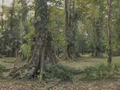 Desarrollo Sostenible entre Puerto viejo y Cahuita #35