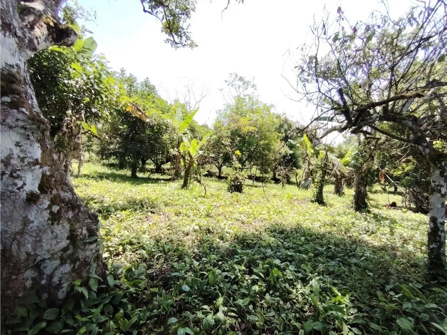 Venta de terreno agrícola en Pérez Zeledón