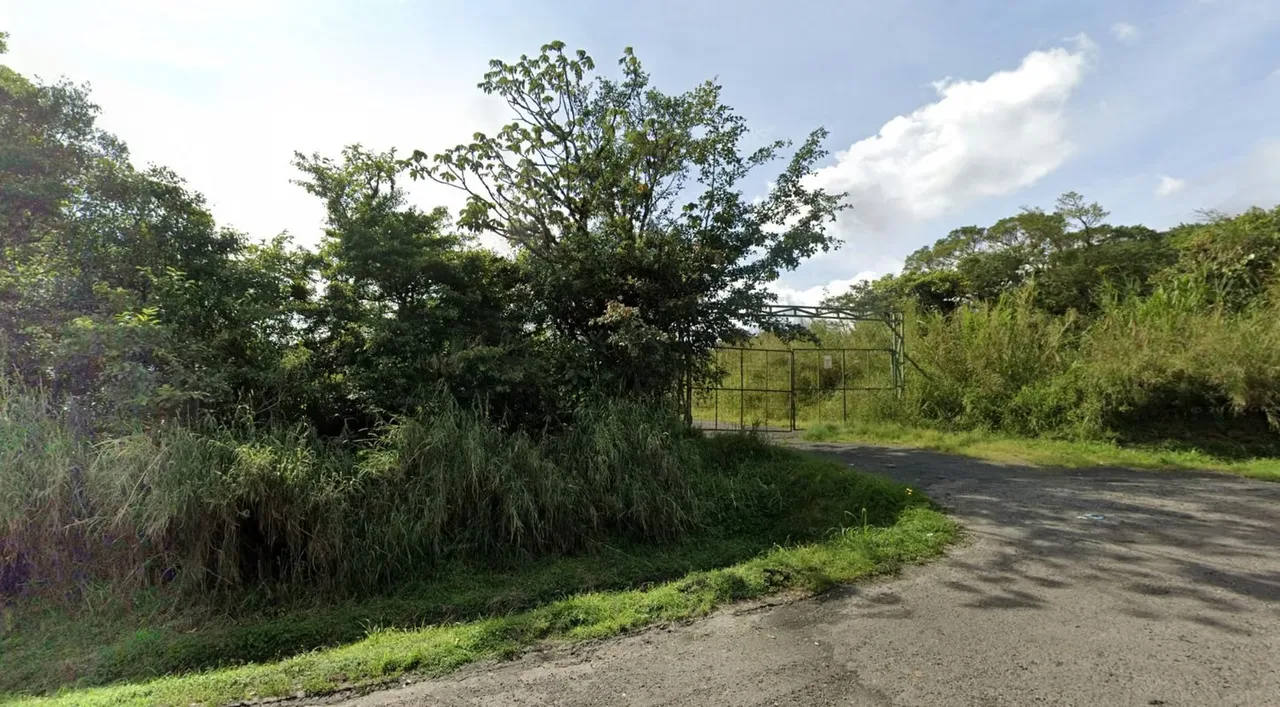 Finca de 10,28 hectáreas en venta en San Jerónimo de Moravia | Conservación e inversión ambiental SSD, photo 2