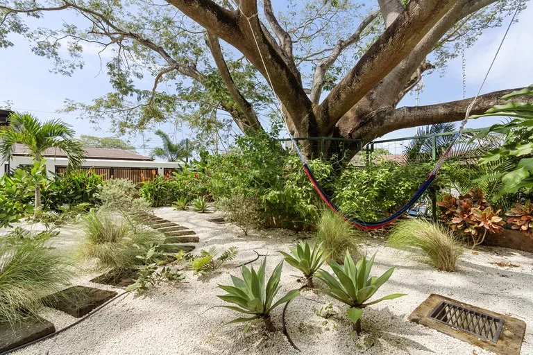 3 Bed Single Family Homes For Sale in Tamarindo, photo 18