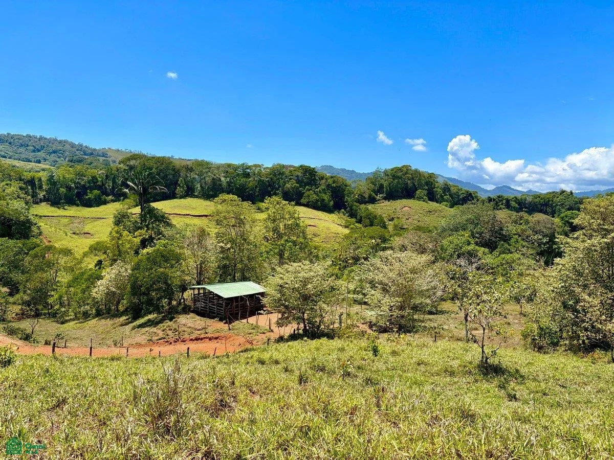 8.77 acres – Terreno privado a solo 20 minutos de Dominical, preciosas vistas a la montaña