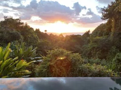 PROPERTY WITH OCEAN VIEW AND A GUEST HOUSE IN PIÑUELA -1.39 ACRES, photo 29