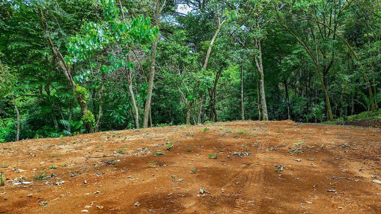 BUILDING PROPERTY NEAR A CREEK, IN OJOCHAL – 1.6 ACRES, photo 11