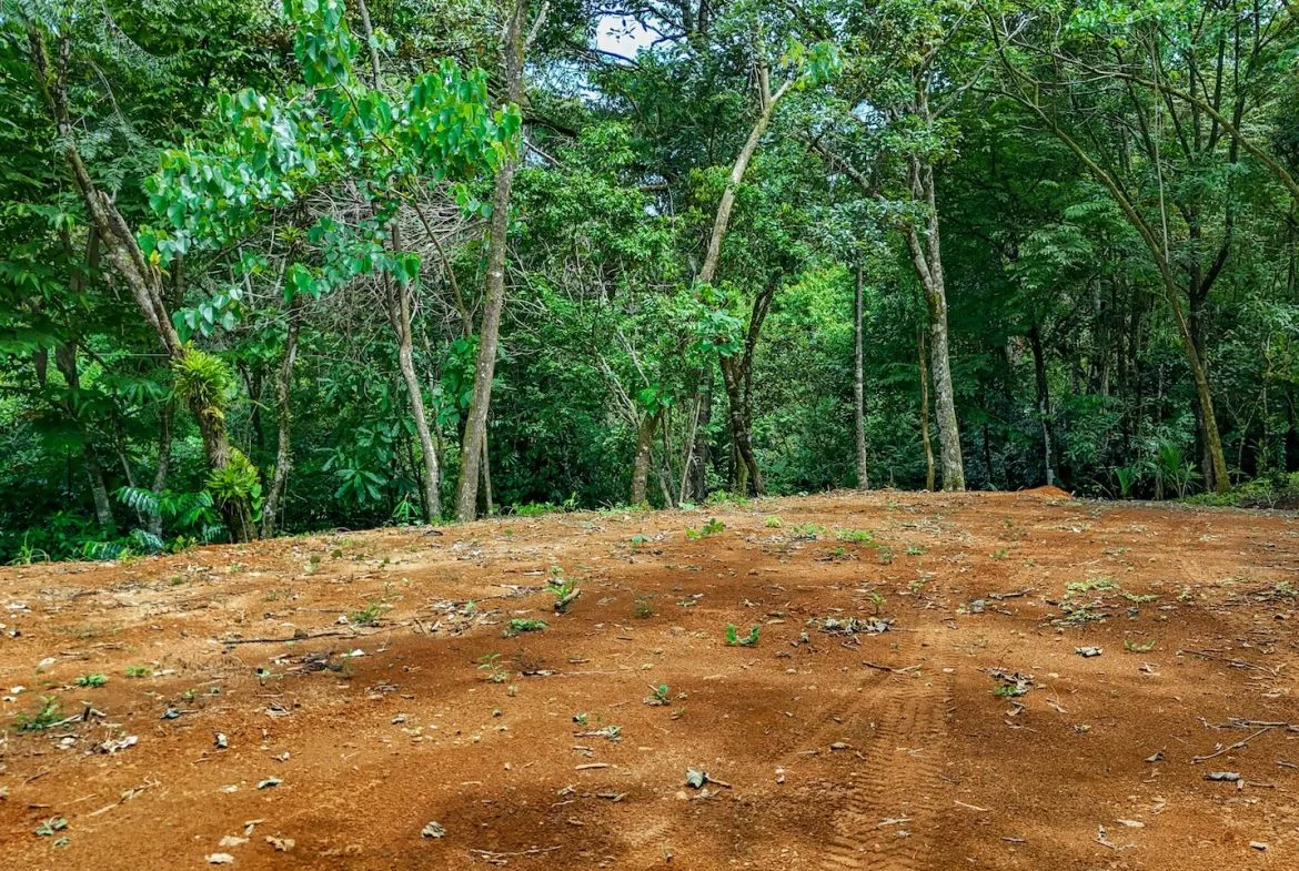 BUILDING PROPERTY NEAR A CREEK, IN OJOCHAL – 1.6 ACRES, photo 12