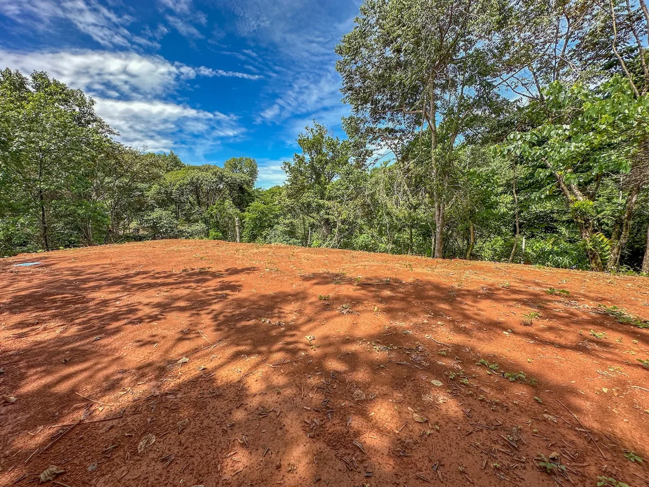 BUILDING PROPERTY NEAR A CREEK, IN OJOCHAL – 1.6 ACRES, photo 5