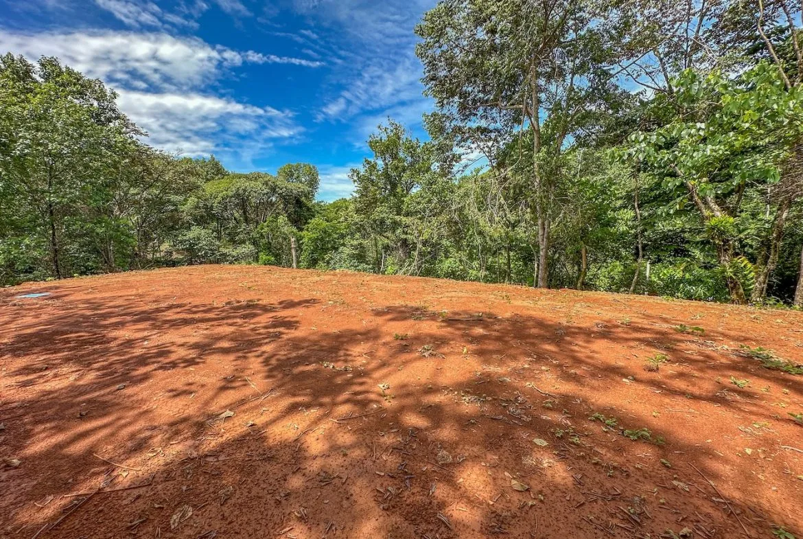 BUILDING PROPERTY NEAR A CREEK, IN OJOCHAL – 1.6 ACRES, photo 6