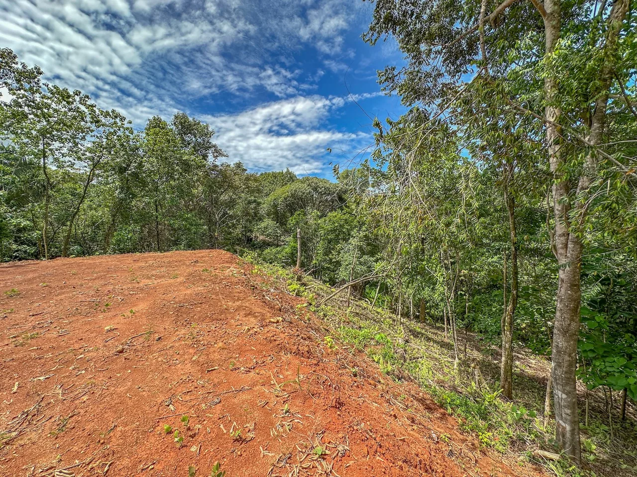 BUILDING PROPERTY NEAR A CREEK, IN OJOCHAL – 1.6 ACRES, photo 7