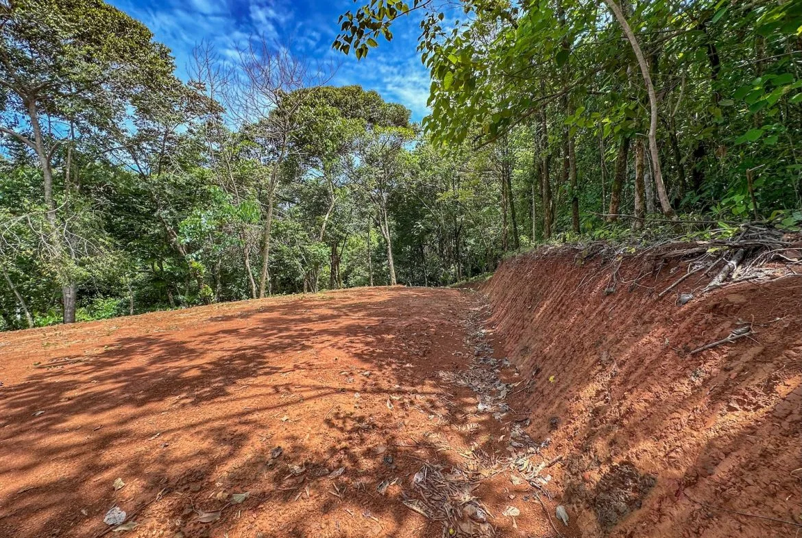 BUILDING PROPERTY NEAR A CREEK, IN OJOCHAL – 1.6 ACRES, photo 10
