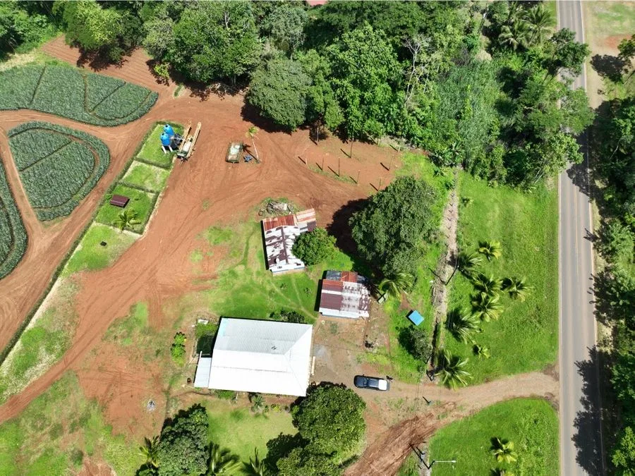Finca de 67 hectáreas con producción de piña en Los Lirios, Alajuela