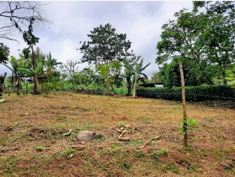 VENTA DE LOTE, ALAJUELA, RIO CUARTO. - Venta en Río Cuarto
