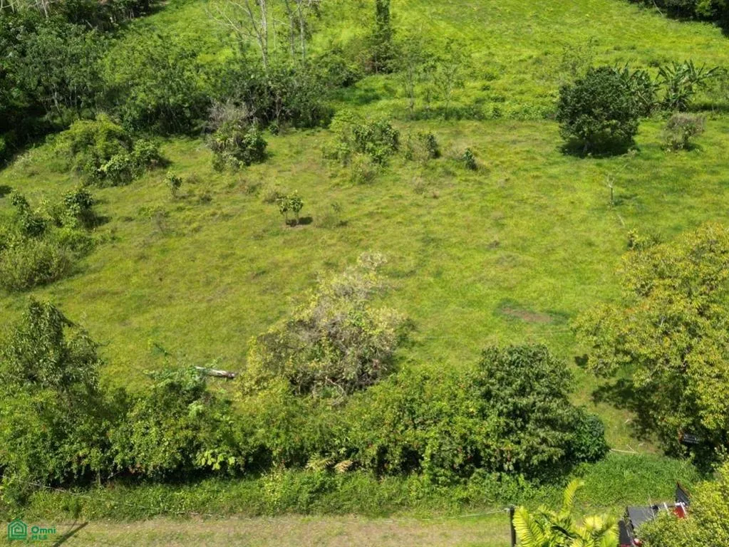 1 Chachagua – Los Angeles, San Ramón, Alajuela 21007