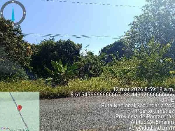 Finca en Puerto Jiménez (bien adjudicado)