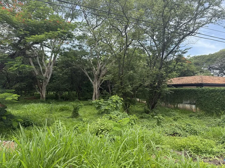 PGE Lot B27: A unique blend of tranquility and convenience