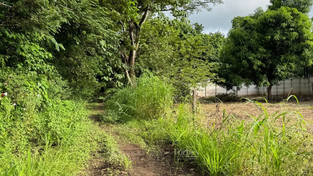 Cerca del Mar, Lote Tamarindo