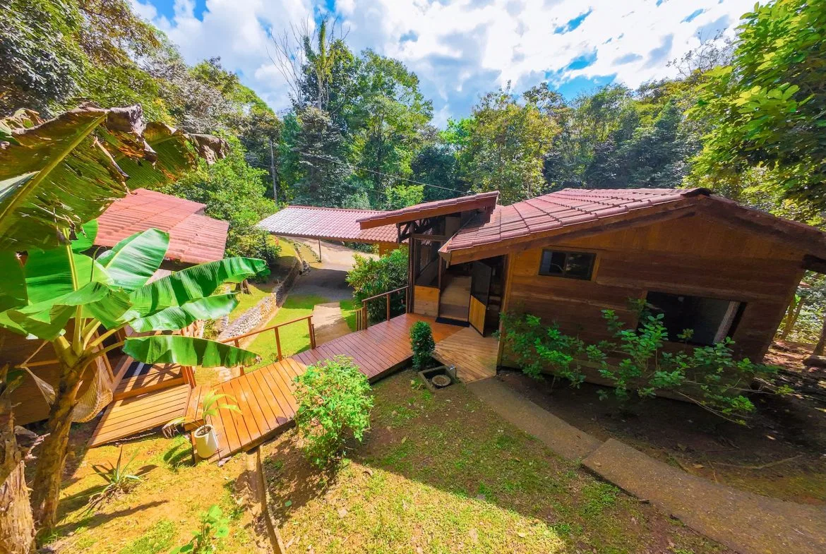 PROPERTY WITH A PRINCIPAL HOUSE AND GUEST HOUSE IN THE MIDDLE OF THE JUNGLE, IN OJOCHAL – 3 ACRES, photo 2