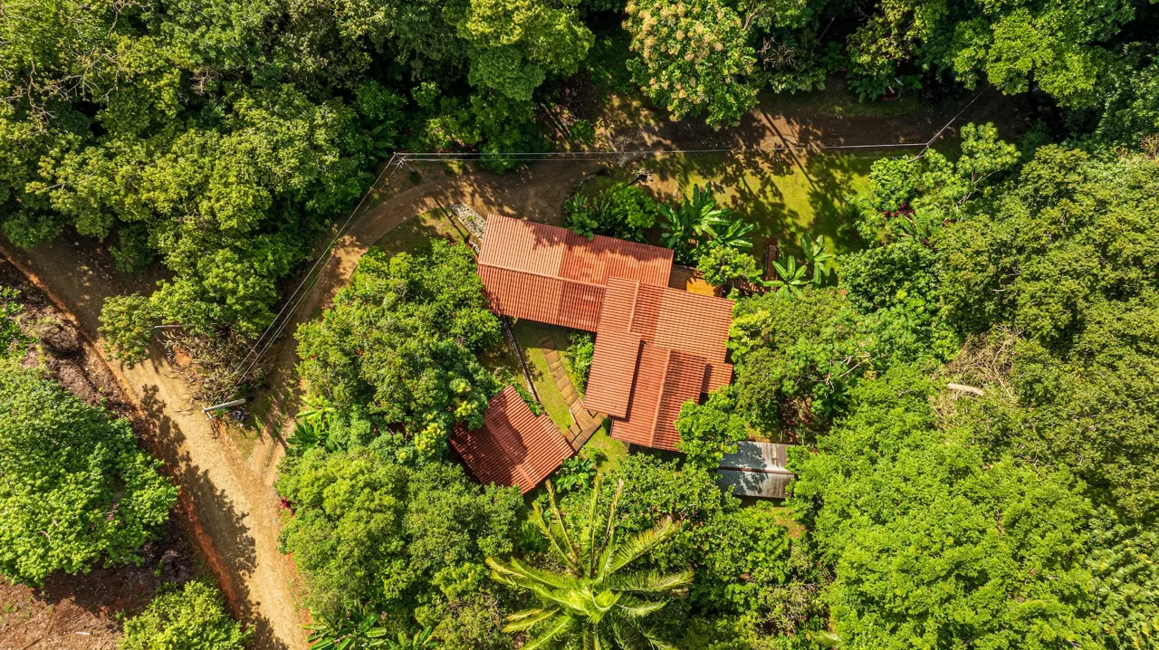 PROPERTY WITH A PRINCIPAL HOUSE AND GUEST HOUSE IN THE MIDDLE OF THE JUNGLE, IN OJOCHAL – 3 ACRES, photo 3