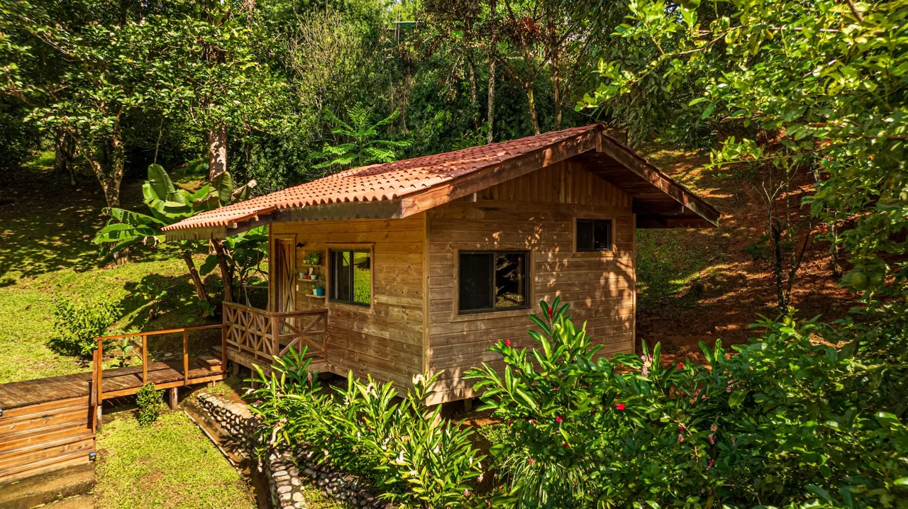 PROPERTY WITH A PRINCIPAL HOUSE AND GUEST HOUSE IN THE MIDDLE OF THE JUNGLE, IN OJOCHAL – 3 ACRES, photo 4