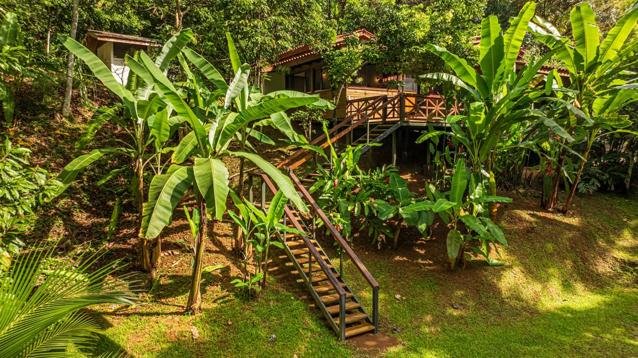 PROPERTY WITH A PRINCIPAL HOUSE AND GUEST HOUSE IN THE MIDDLE OF THE JUNGLE, IN OJOCHAL – 3 ACRES, photo 5
