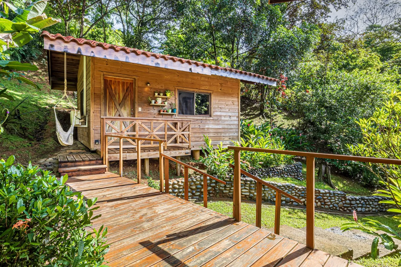 PROPERTY WITH A PRINCIPAL HOUSE AND GUEST HOUSE IN THE MIDDLE OF THE JUNGLE, IN OJOCHAL – 3 ACRES, photo 6