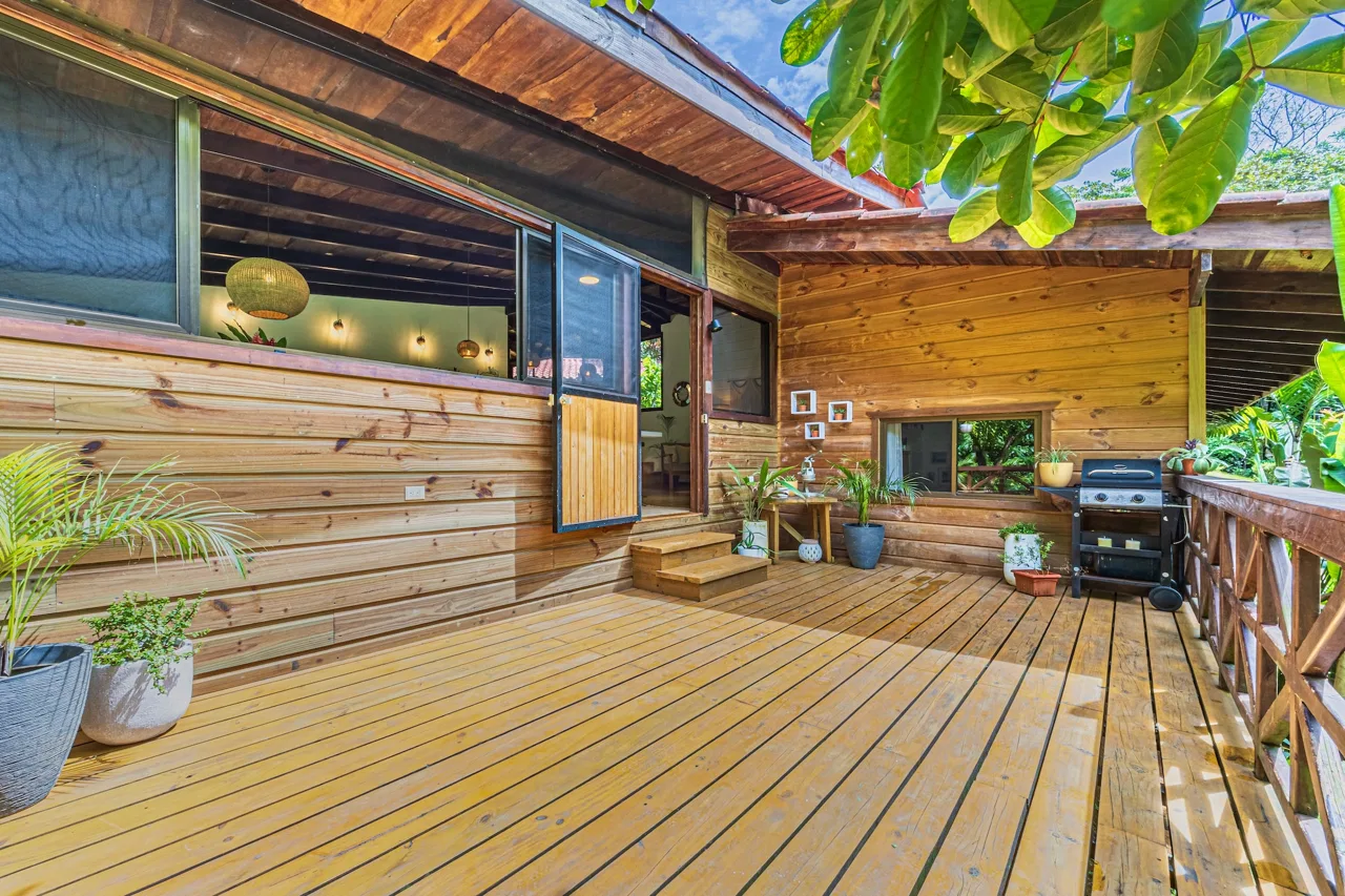 PROPERTY WITH A PRINCIPAL HOUSE AND GUEST HOUSE IN THE MIDDLE OF THE JUNGLE, IN OJOCHAL – 3 ACRES, photo 7
