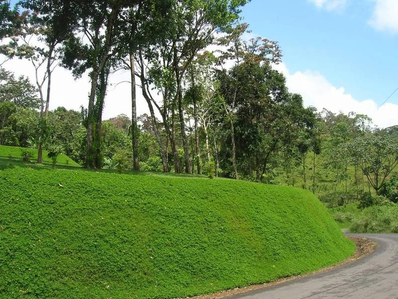 Land For Sale in Lake Arenal, photo 7