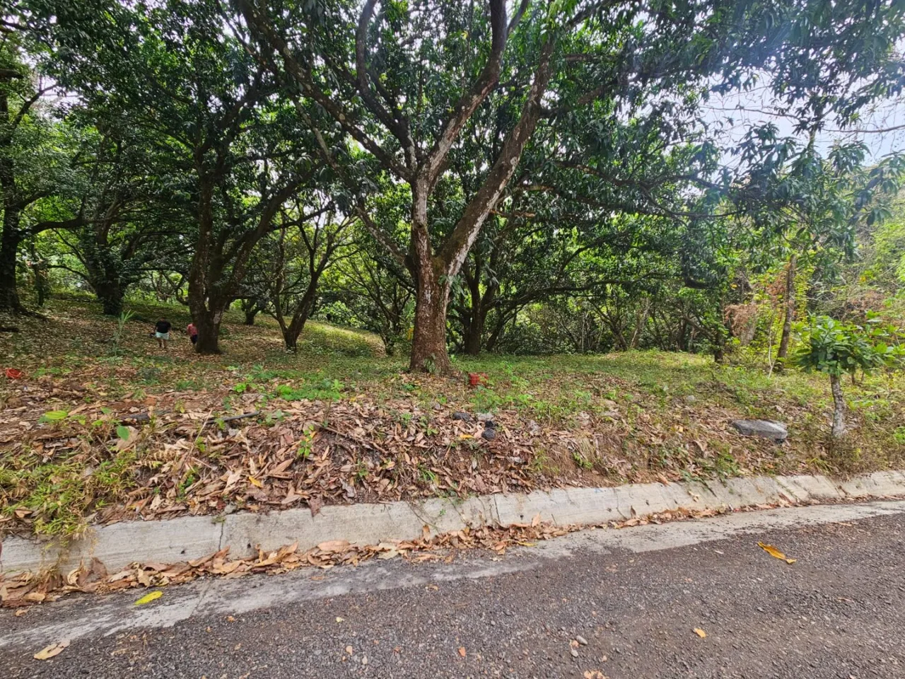 Lote tipo Quinta cerca del centro de San Pablo Turrubares Propiedades a 10 min de Ruta 27, con todos los servicios  - Venta en Turrubares, photo 3