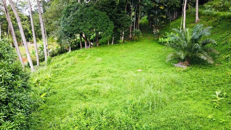GORGEOUS OCEAN VIEW LOT IN UVITA – 1.43 ACRES, photo 11