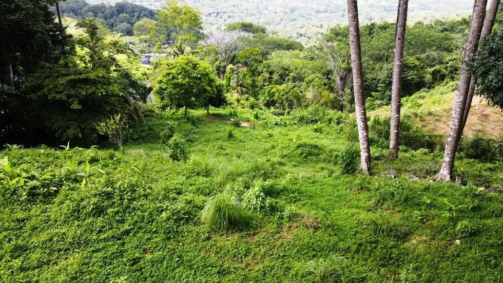 GORGEOUS OCEAN VIEW LOT IN UVITA – 1.43 ACRES, photo 14