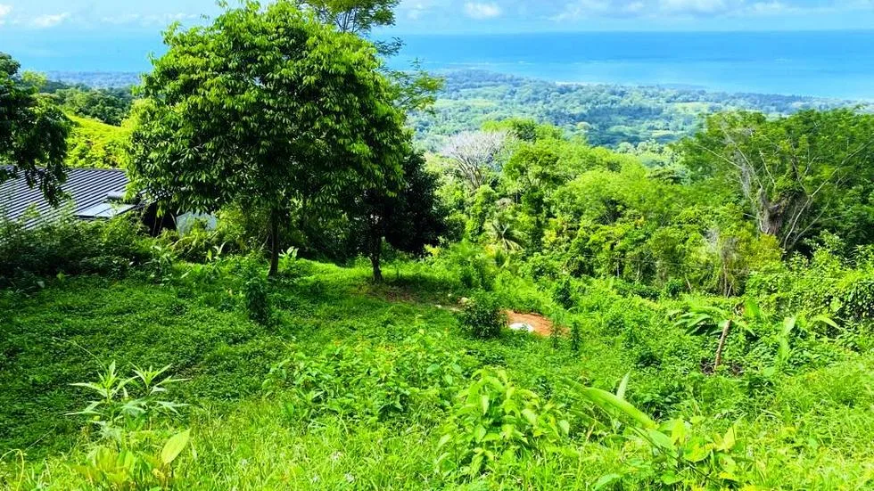 GORGEOUS OCEAN VIEW LOT IN UVITA – 1.43 ACRES, photo 15