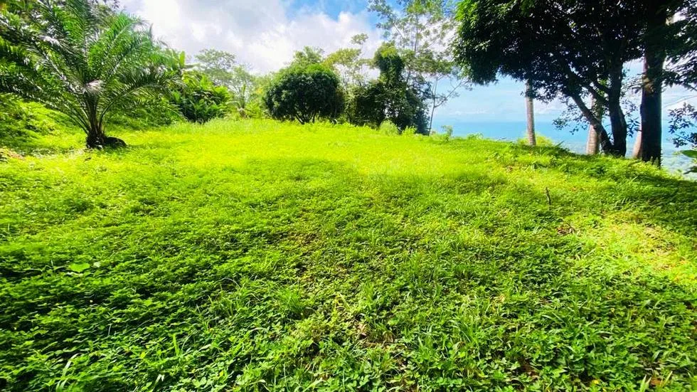 GORGEOUS OCEAN VIEW LOT IN UVITA – 1.43 ACRES, photo 16