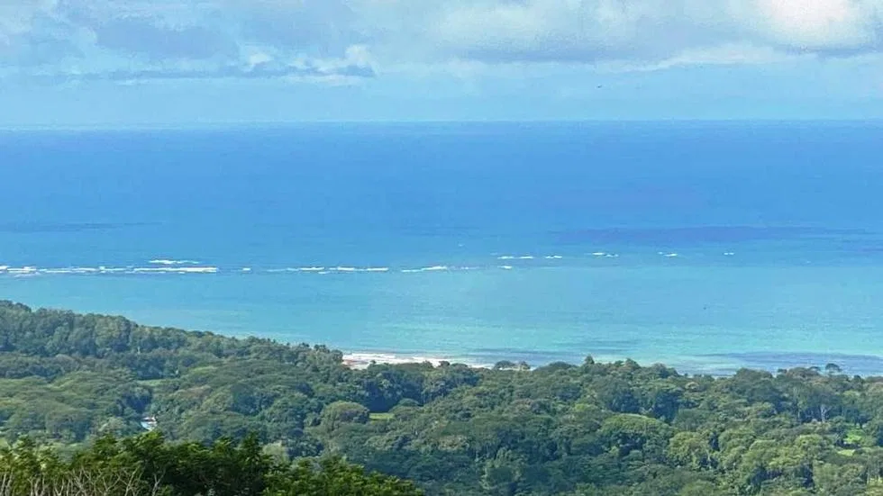 GORGEOUS OCEAN VIEW LOT IN UVITA – 1.43 ACRES, photo 18