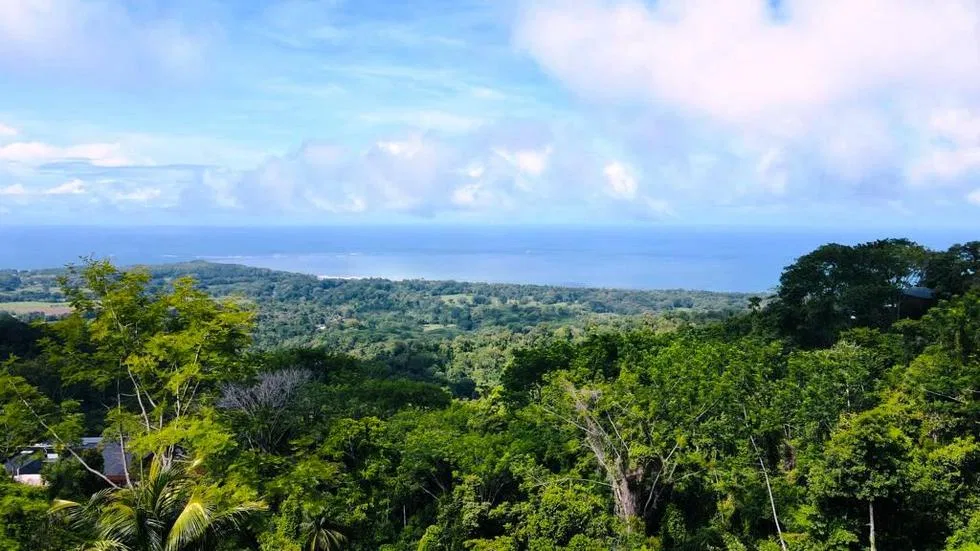 GORGEOUS OCEAN VIEW LOT IN UVITA – 1.43 ACRES, photo 19