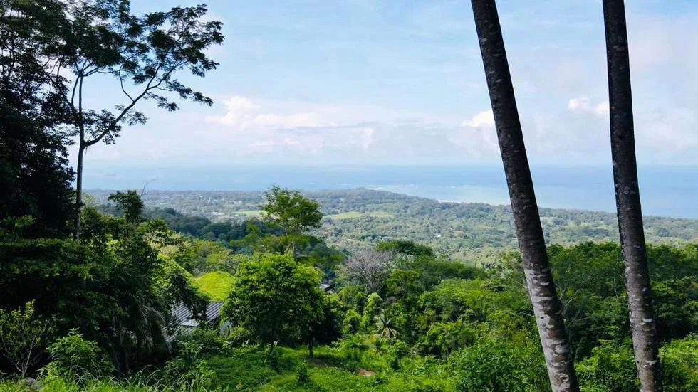 GORGEOUS OCEAN VIEW LOT IN UVITA – 1.43 ACRES, photo 3