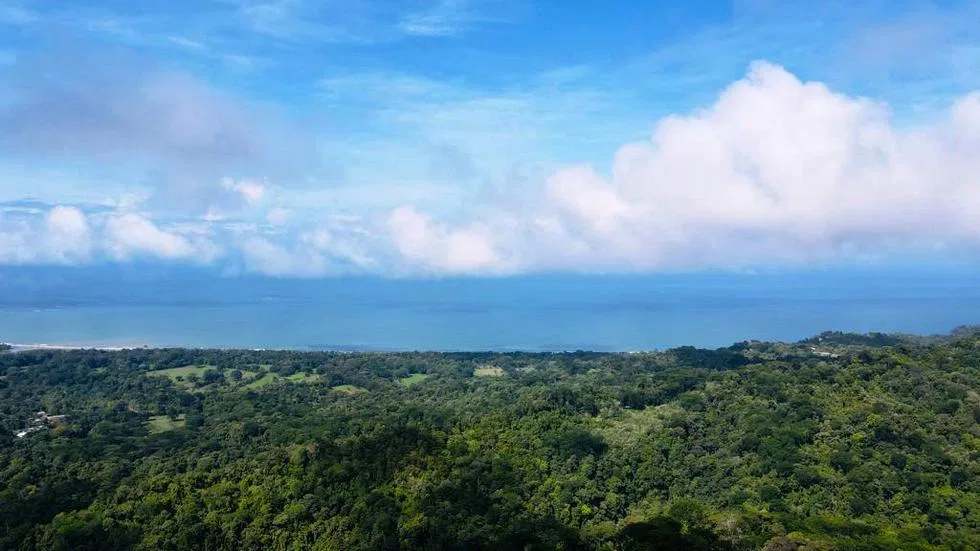 GORGEOUS OCEAN VIEW LOT IN UVITA – 1.43 ACRES, photo 5