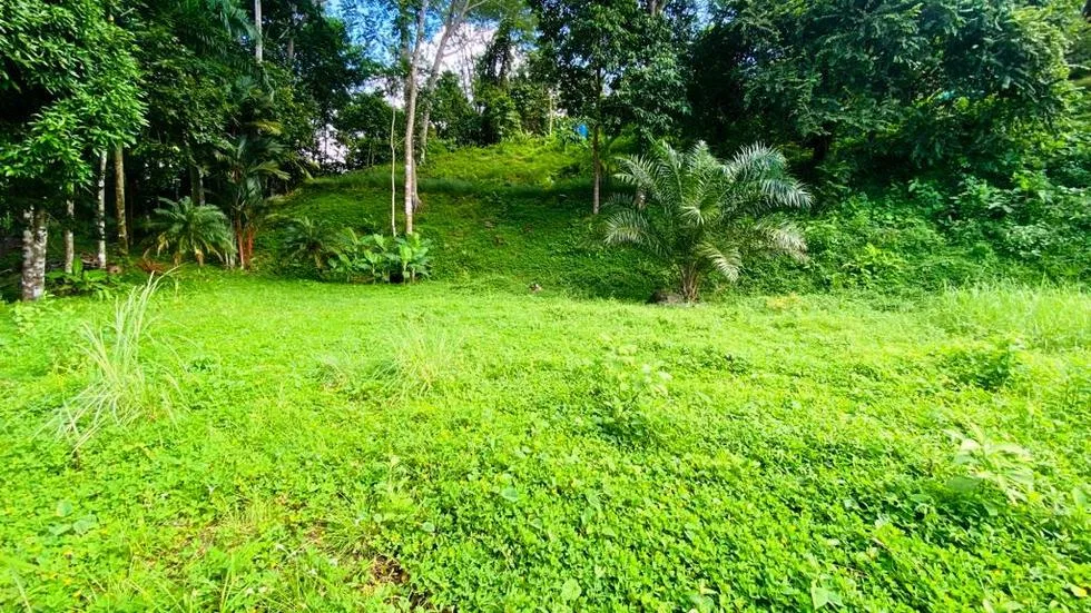 GORGEOUS OCEAN VIEW LOT IN UVITA – 1.43 ACRES, photo 7