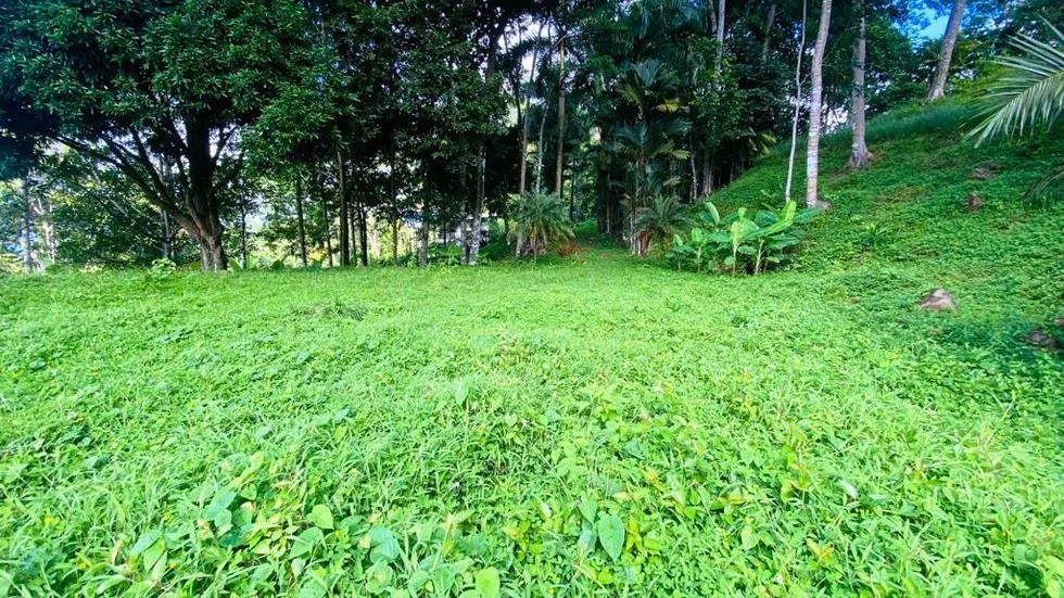 GORGEOUS OCEAN VIEW LOT IN UVITA – 1.43 ACRES, photo 8