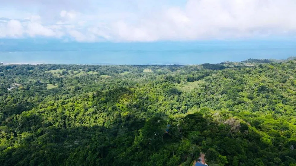 GORGEOUS OCEAN VIEW LOT IN UVITA – 1.43 ACRES, photo 9