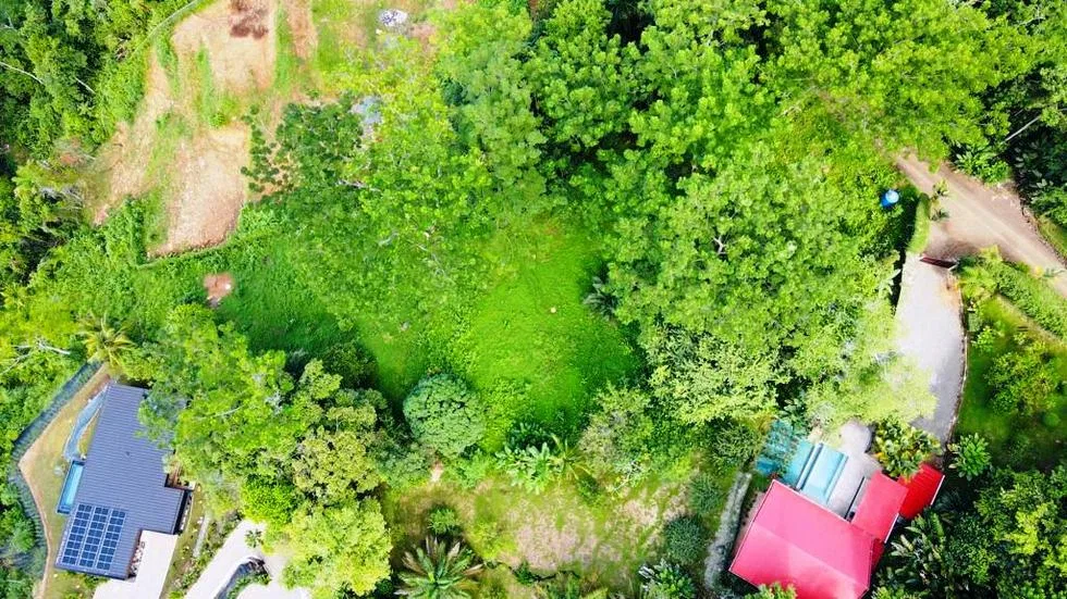 GORGEOUS OCEAN VIEW LOT IN UVITA – 1.43 ACRES, photo 10
