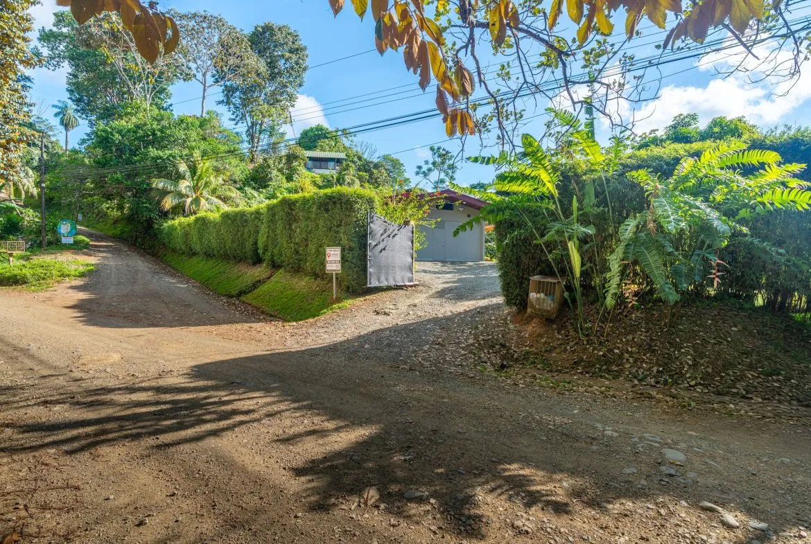PROPERTY IN THE MIDDLE OF THE NATURE WITH OCEAN VIEWS, IN OJOCHAL – 3.6 ACRES, photo 4