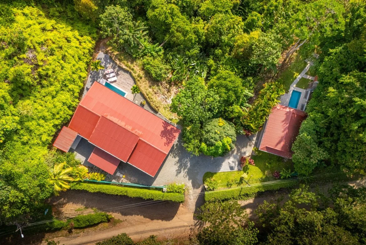 PROPERTY IN THE MIDDLE OF THE NATURE WITH OCEAN VIEWS, IN OJOCHAL – 3.6 ACRES, photo 6