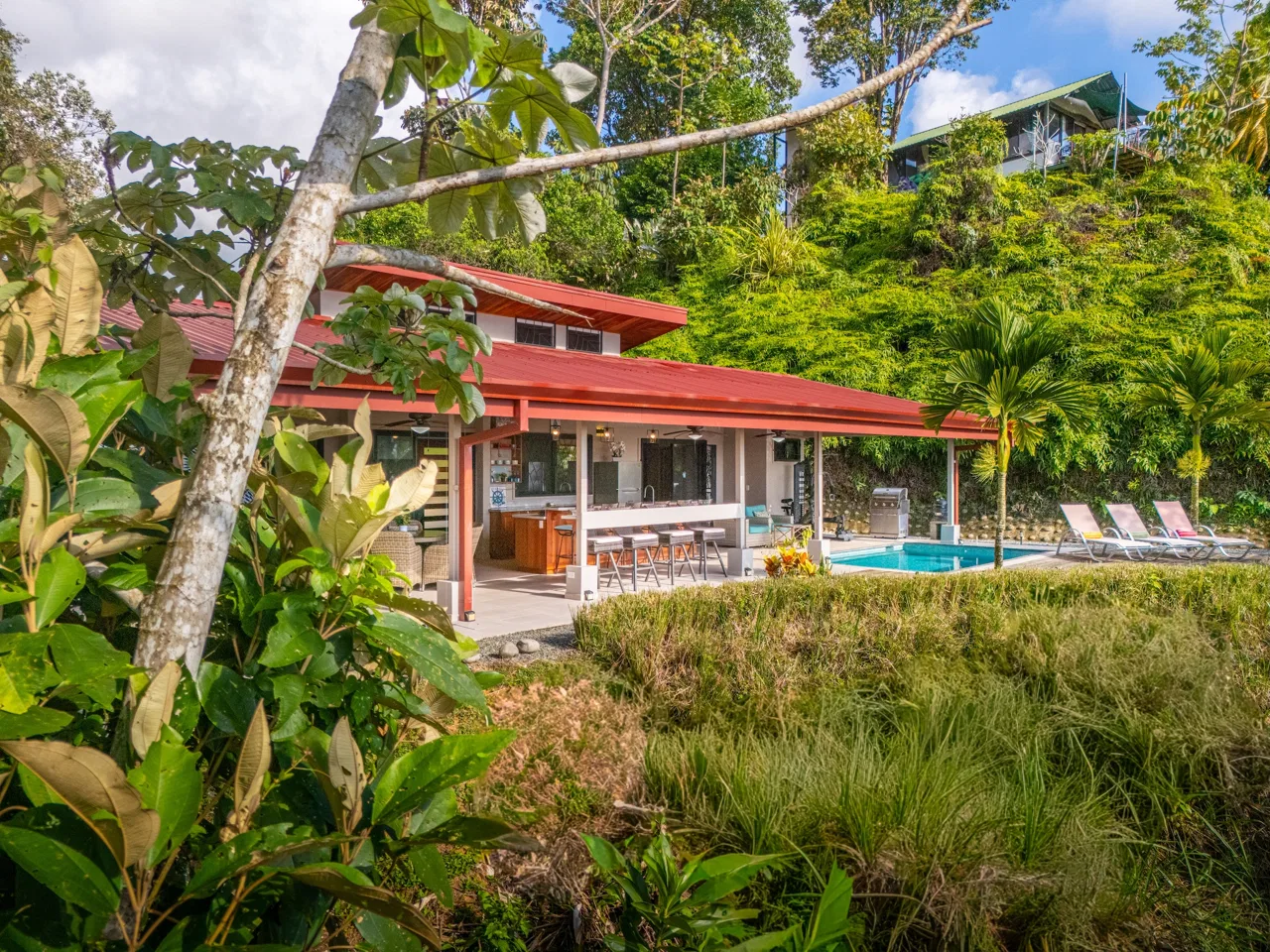 PROPERTY IN THE MIDDLE OF THE NATURE WITH OCEAN VIEWS, IN OJOCHAL – 3.6 ACRES, photo 7